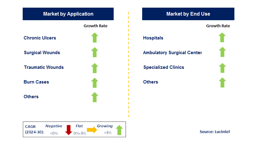 Wound Debridement Product by Segment